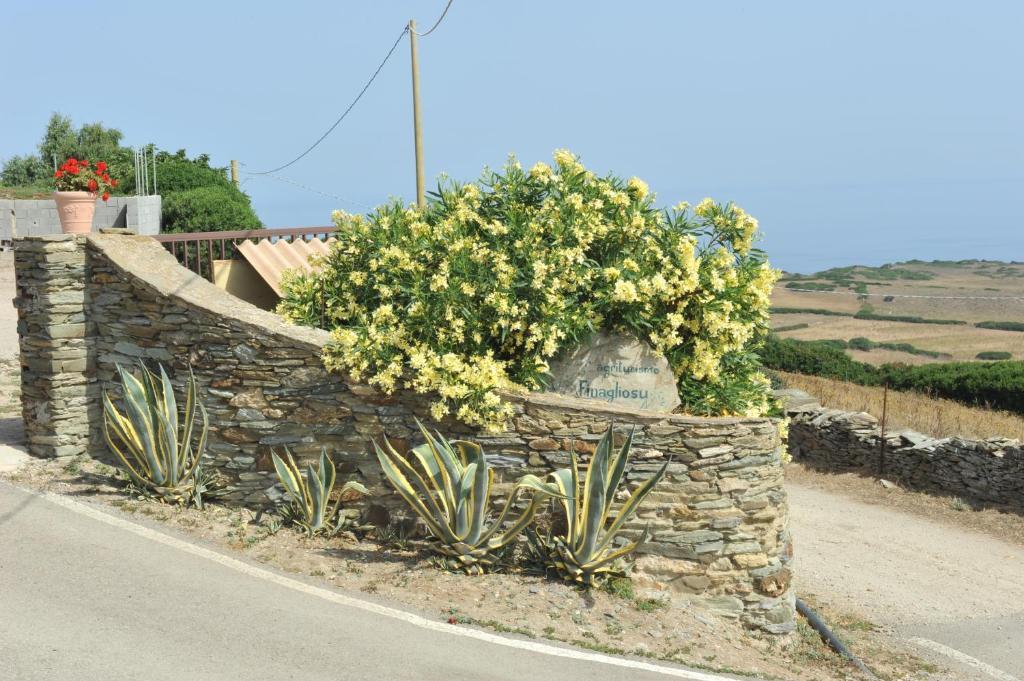 Agriturismo Finagliosu Palmadula ภายนอก รูปภาพ